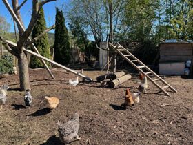 3 Tage Winterwandern im Spessart inkl. 1 x Lunchpaket