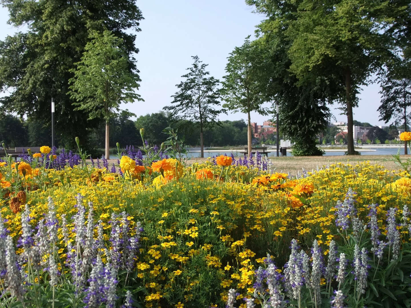 Romantische  Zeit im Schweriner Märchenschloss 