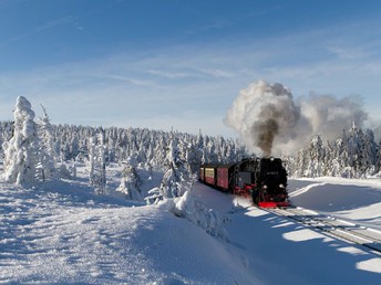 Exklusive Kuscheltage im Harz  