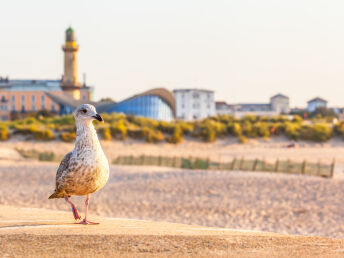 Silvester an der Ostsee mit Wellness