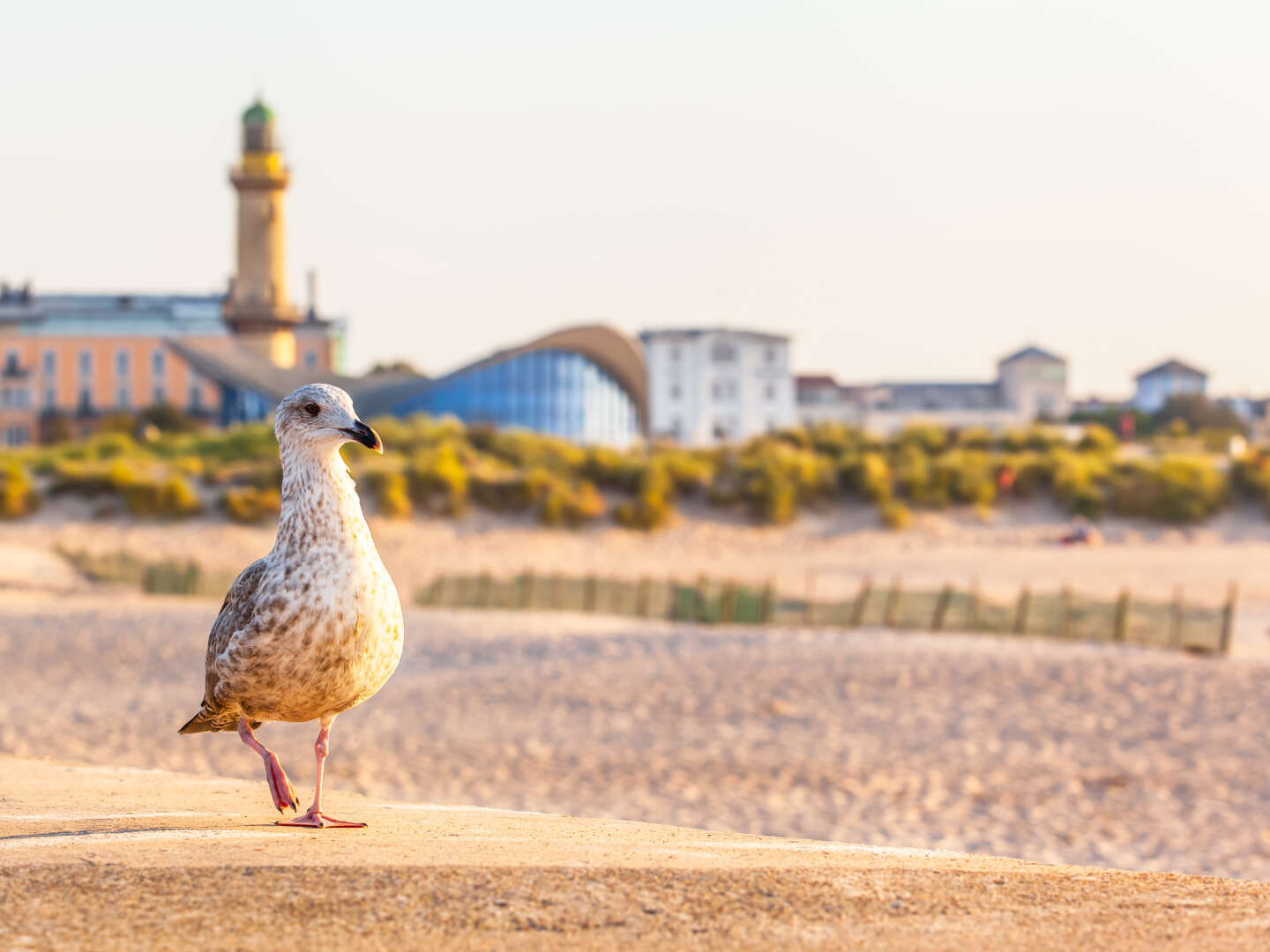 Silvester an der Ostsee mit Wellness