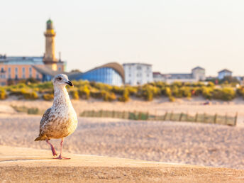 3 Tage Wellnessauszeit im Winter zu Zweit in Rostock