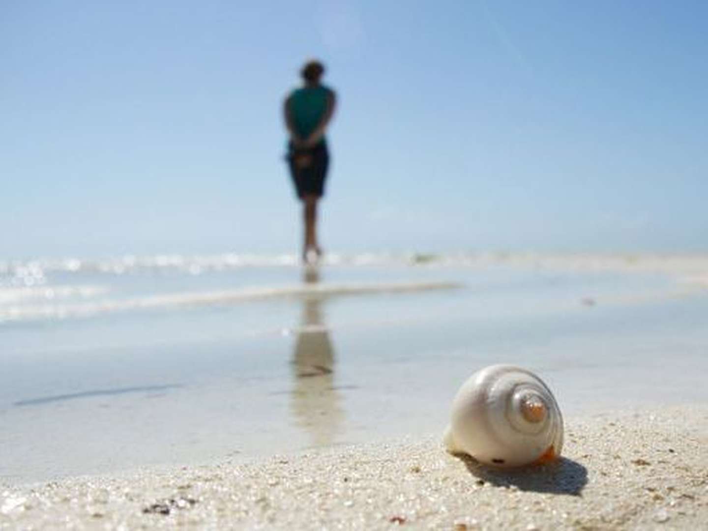 Strandläufer an der Ostsee inkl. Abendessen