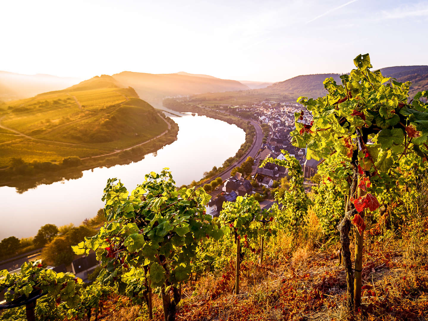 Moselreise - Kurzreise inkl. Weinprobe, Schifffahrt oder Museum