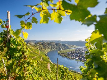 Wandern zu jeder Jahreszeit entlang der Mosel 2025