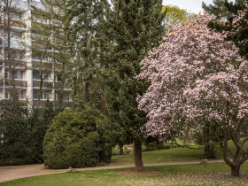 Aktivurlaub mit dem Fahrrad von Bad Kreuznach nach Bingen