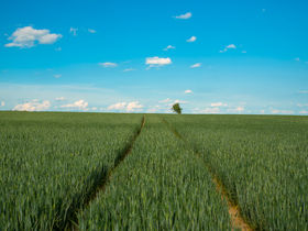 Wohlfühltage für Zwei in der Eifel inkl. 4-Gang-Menü