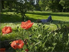 Romantik trifft Kulinarik - 3 Tage romantischer Kurzurlaub