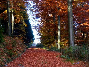 Herbst und Winter Wander-Angebot mit Menü