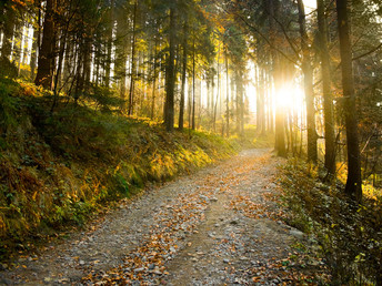 Kurztrip in die Vulkanregion Laacher See inkl. HP