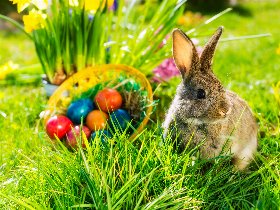 Ostern in Bayern - Franken-Therme - Ferien 