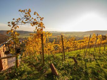 Sommerferien im Gäu