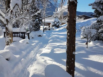 Goldener Herbst in den Alpen!