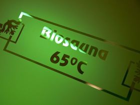 Frühlingserwachen mit 10% Rabatt