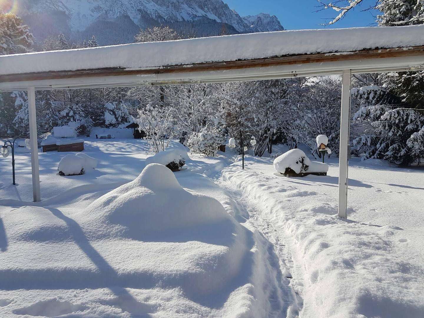 Goldener Herbst in den Alpen!