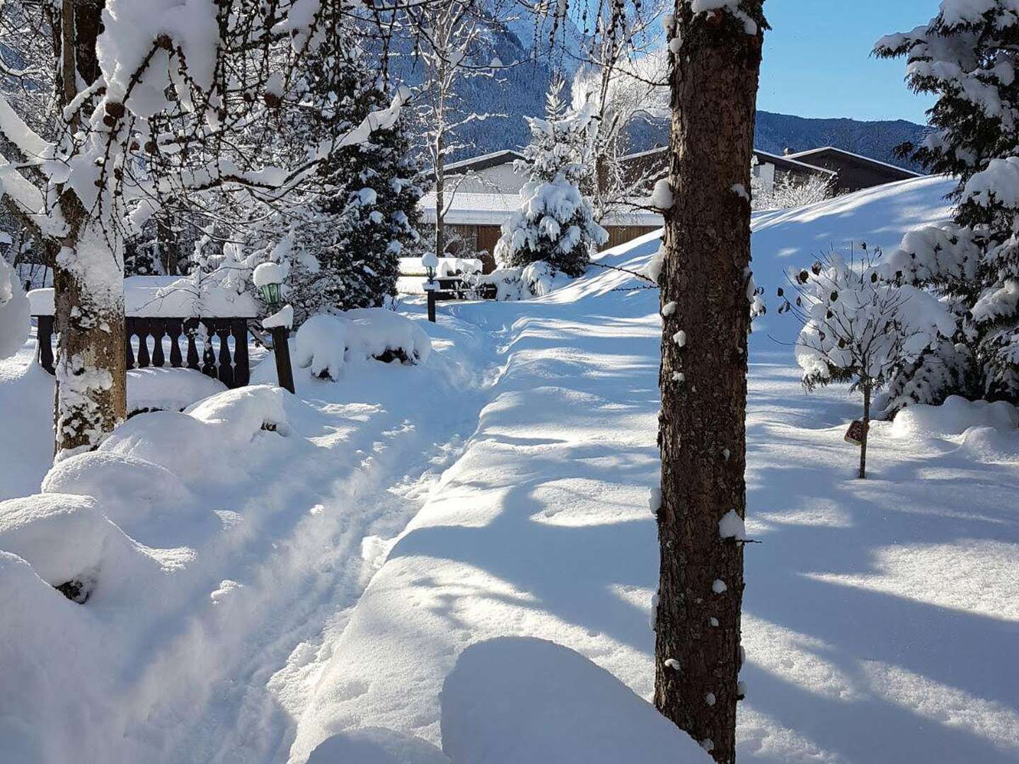 Goldener Herbst in den Alpen!