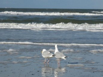 Romantische Auszeit an der Nordsee