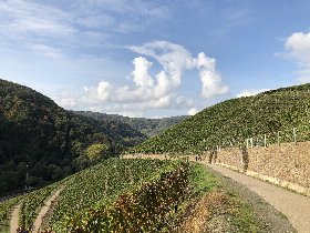 3 Tage Erholung am Rhein - Therme inkl. Sauna & HP