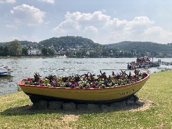 Zu kurz aber schön! Kleine Auszeit am Rhein