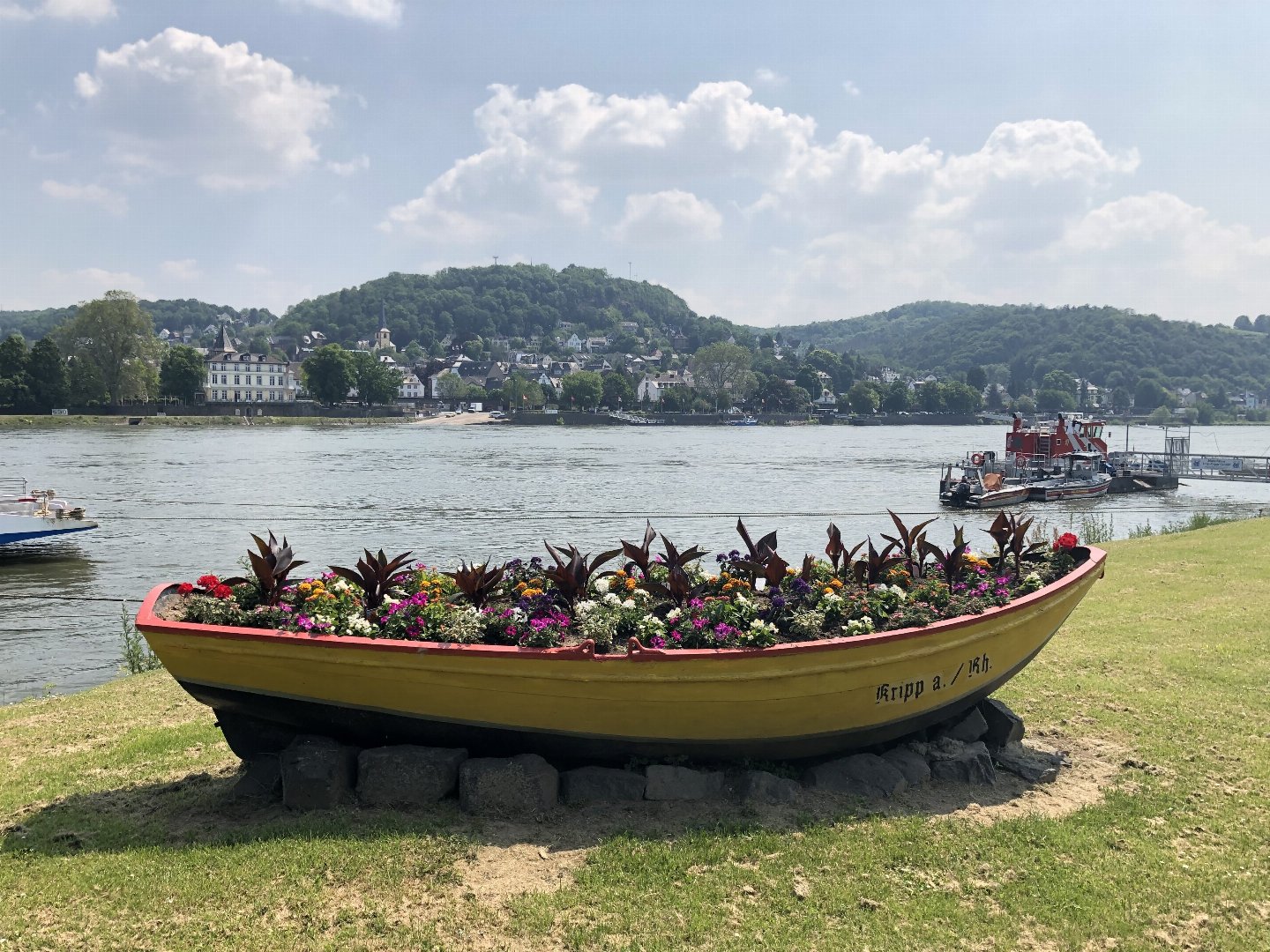 Zu kurz aber schön! Kleine Auszeit am Rhein