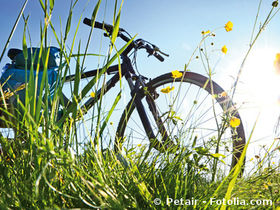 4 Tage Aktivurlaub - Radeln oder Wandern am Rhein 