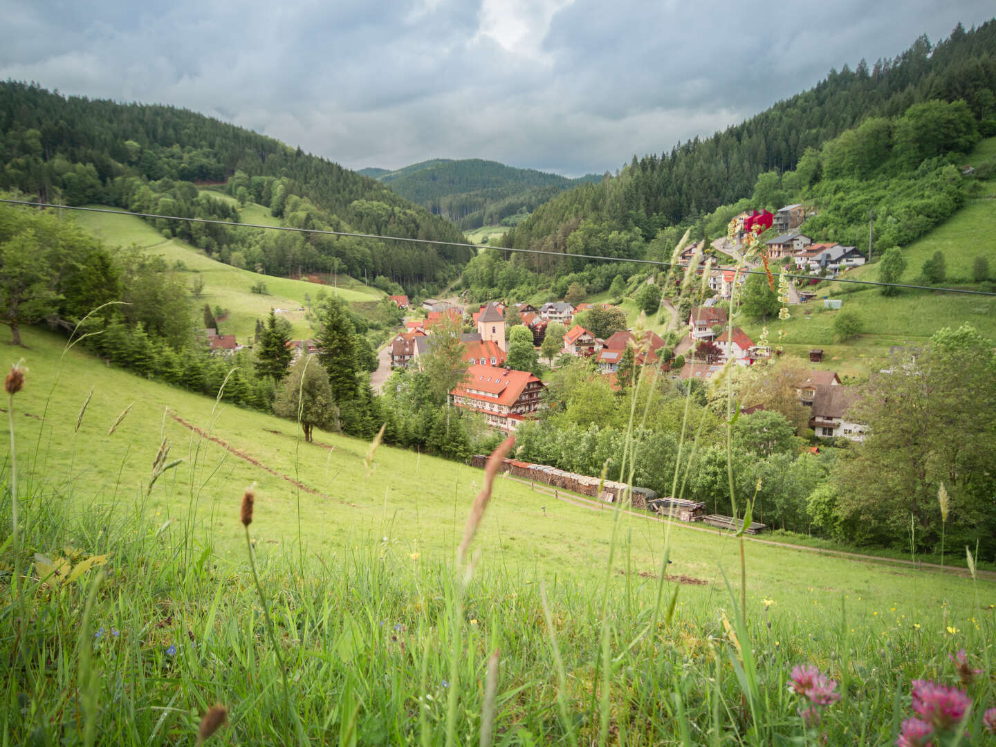 Wandern im Schwarzwald