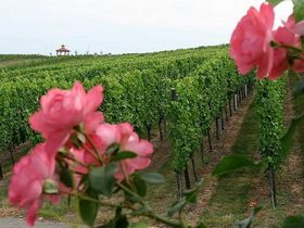 Thermen Kurztrip- 3 Tage mit Candle-Light-Dinner & Badewelt Sinsheim