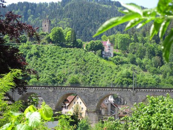 Schloss-Woche im Schwarzwald 