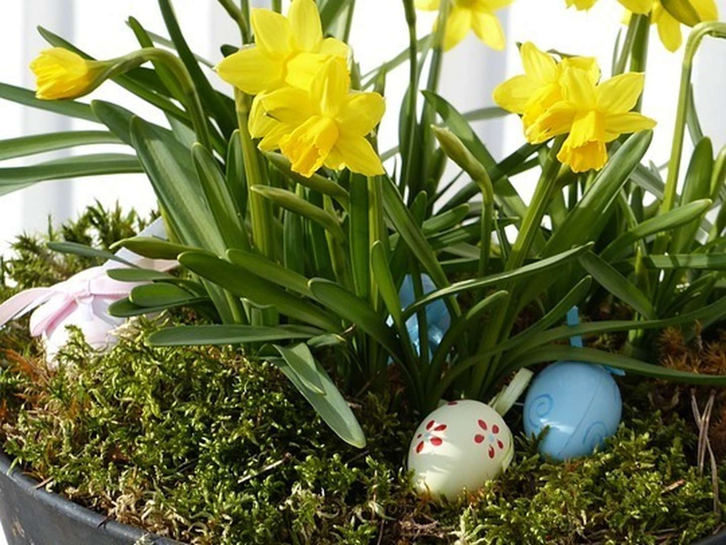 Ostern in Hamburg (3 Tage)