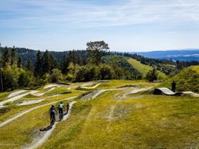 Familien-Weihnachten