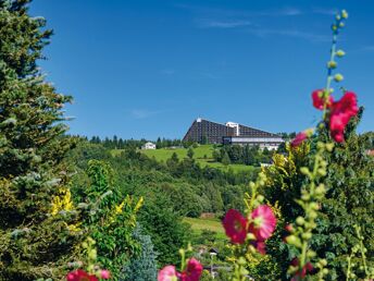 Willkommen im Vogtland I 6 Tage im Ferienappartement inkl. Frühstück