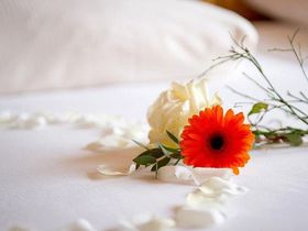 3 Tage exklusiv in die Heide nach Soltau verreisen - nur 99 EUR!