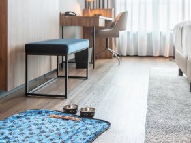 Rostocker Weihnachtsmarkt- Glühweinduft und Lichtzauber 