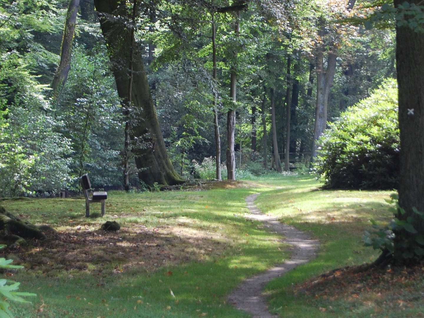 4 Tage Radwandern de luxe im Münsterland - inkl. HP 