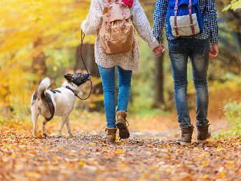 Kleine Wellness-Auszeit- 3 Tage in der Weltkulturerbe-Stadt Quedlinburg