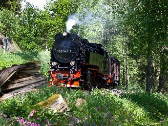 Kleine Wellness-Auszeit- 3 Tage in der Weltkulturerbe-Stadt Quedlinburg