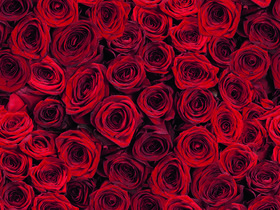 3 Tage Liebe ist ... im Harz