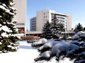 Schneeballschlacht auf Rügen