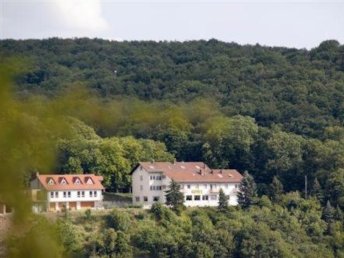 Sommer, Sonne, weißblauer Himmel … 5 Tage in der Pfalz inkl. HP