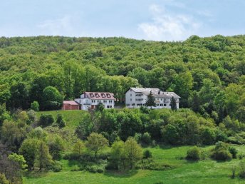 Sommer, Sonne, weißblauer Himmel … 6 Tage in der Pfalz inkl. HP