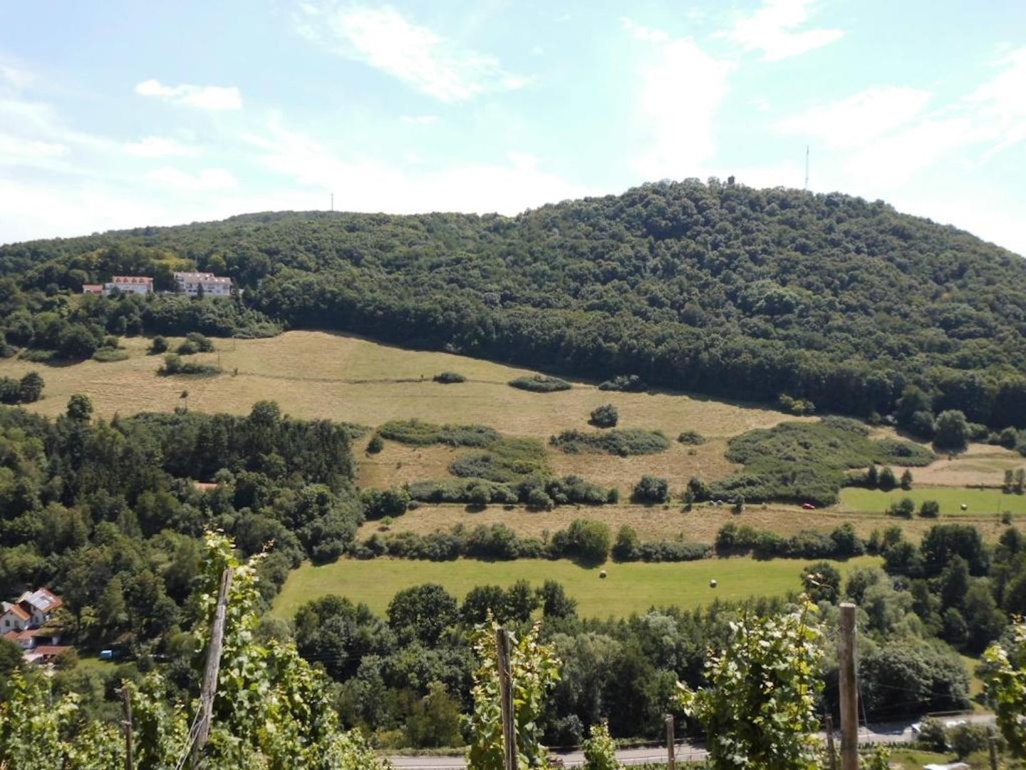 Genuss Wandern für 7 Tage in der Pfalz inkl. HP