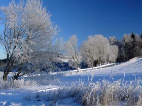 Göbel´s AUS.ZEIT - 4 Nächte