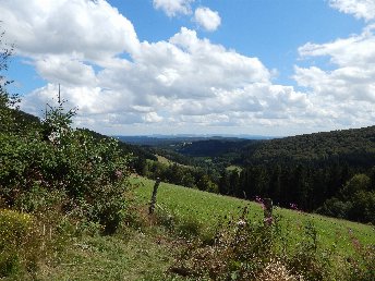 Vier-Jahreszeiten im Sauerland inkl. Abendessen & SauerlandCard