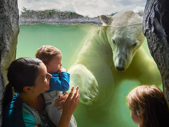 Tierische Entdeckungsreise in der ZOOM Erlebniswelt | 2 Tage