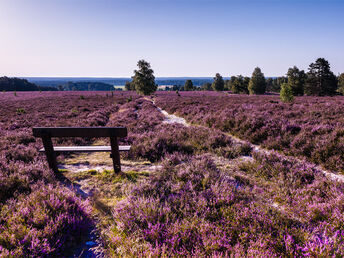 Romantische Auszeit in der Lüneburger Heide