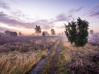 Trüffel-Wochenende in der Lüneburger Heide