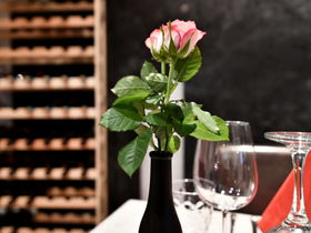 Familienspaß im Wuppertaler-Zoo - 3 Tage