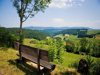 Kurztrip in den Schwarzwald