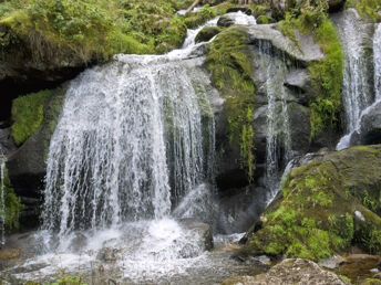 Wandern im Schwarzwald