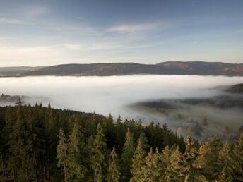 4 Tage Kurzurlaub im Schwarzwald mit Abendessen